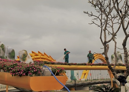 Giới trẻ Đà thành có thêm địa điểm chụp hình "đẹp như mơ"