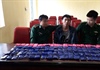 Nghệ An: Bắt đối tượng vận chuyển 20 nghìn viên ma túy