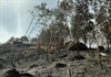 Khởi tố đối tượng vì vô tình gây cháy hơn 100ha rừng ở Quảng Nam