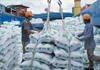 Bộ Công Thương trình phương án xuất khẩu gạo mới nhất