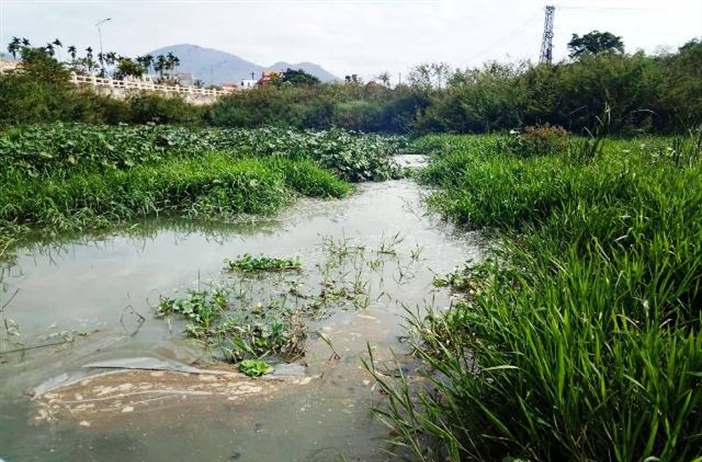 Khánh Hòa: Sông Cái bị “bức tử” vì rác, nước thải ảnh hưởng môi trường...