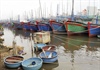 Bình Định: 8 tàu cá trong vùng nguy hiểm “kêu cứu’