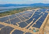 Nhà máy Năng lượng mặt trời Phù Mỹ hòa lưới điện quốc gia