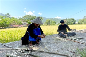 Bảo tồn nghề đan lát truyền thống của người Tày ở Hà Giang