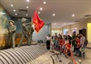 Điều chỉnh phí tham quan tại Bảo tàng Chiến thắng lịch sử Điện Biên Phủ