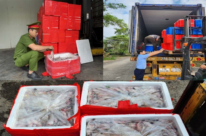 Bắt giữ hơn 4.500 kg cá khoai ướp phoóc môn chuẩn bị 'tuồn' ra thị trường